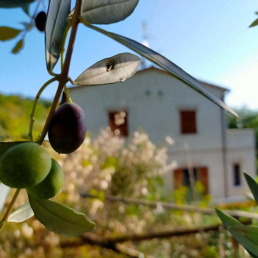 Ferienwohnung Ca`Rosei Monteciccardo Exterior foto